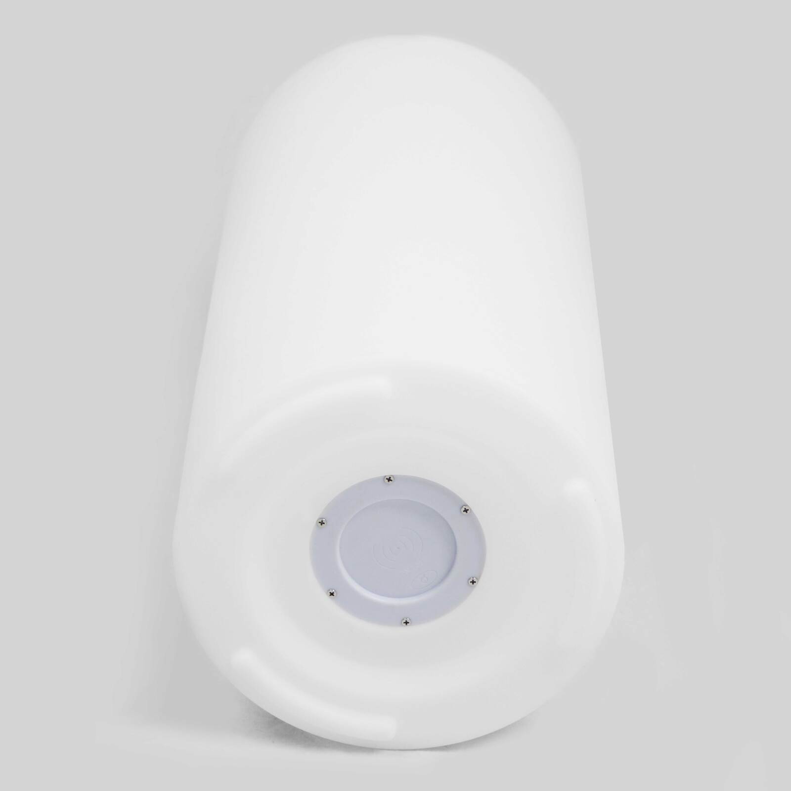 Vaso da fiori illuminato a LED (ø40 x 89 cm)