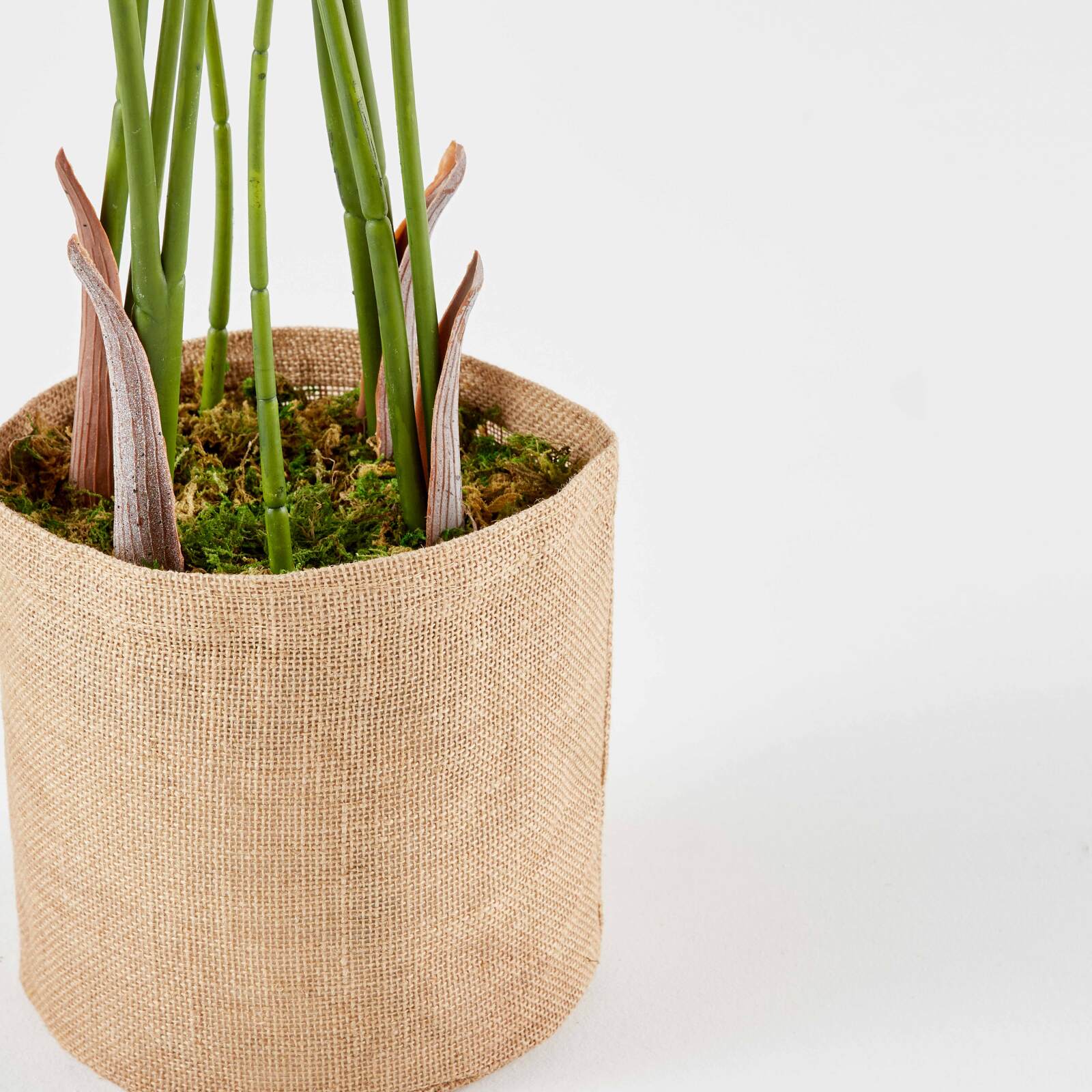 Strelitzia artificiale in vaso altezza 90 cm