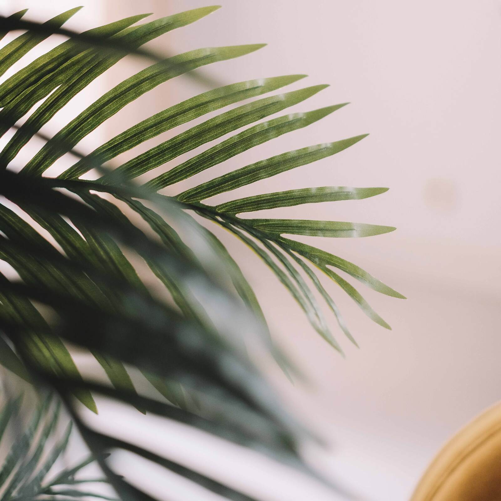 Palma artificiale in vaso altezza 210 cm