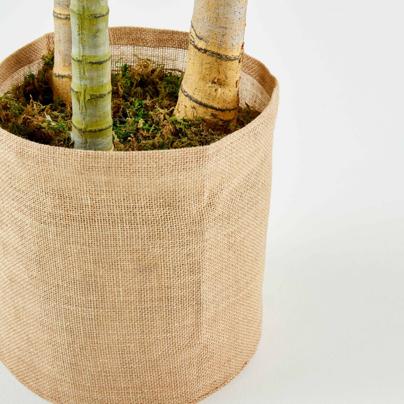 Palma artificiale in vaso altezza 210 cm