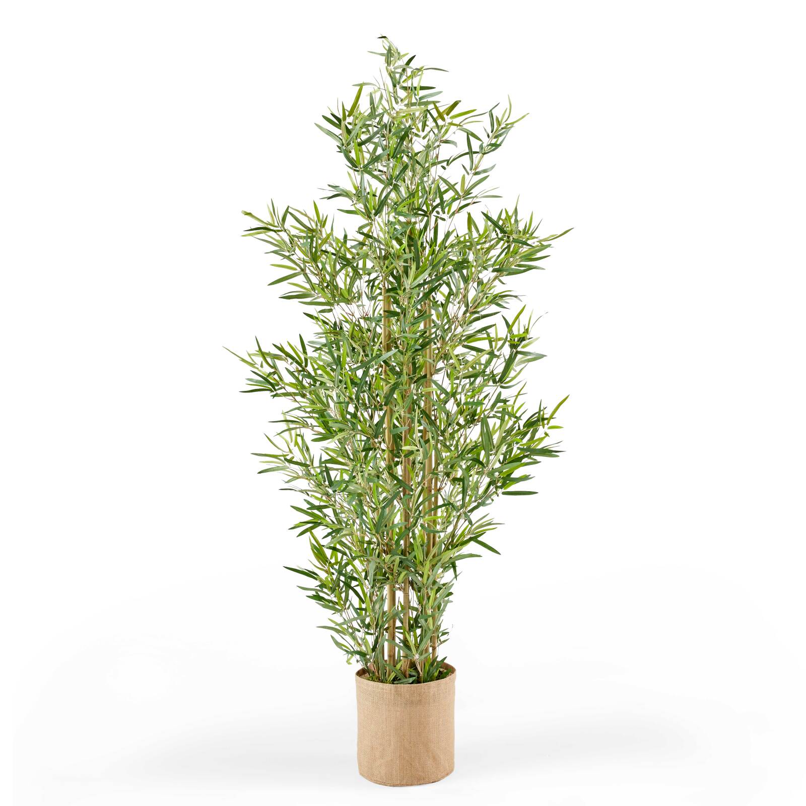 Bambù artificiale in vaso altezza 170 cm