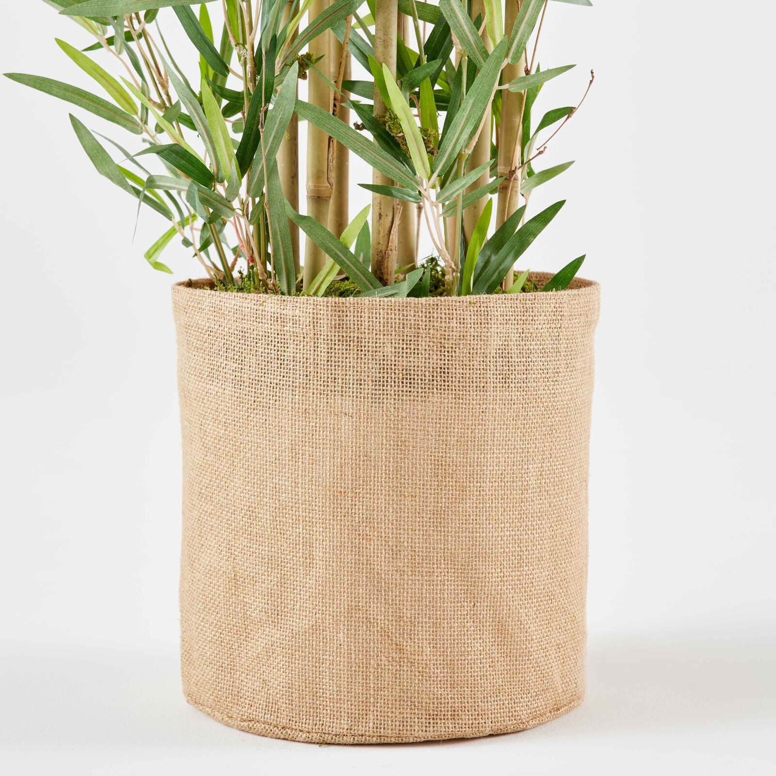 Bambù artificiale in vaso altezza 170 cm