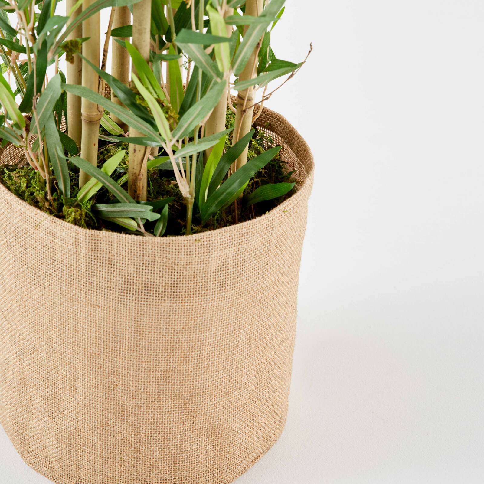 Bambù artificiale in vaso altezza 170 cm