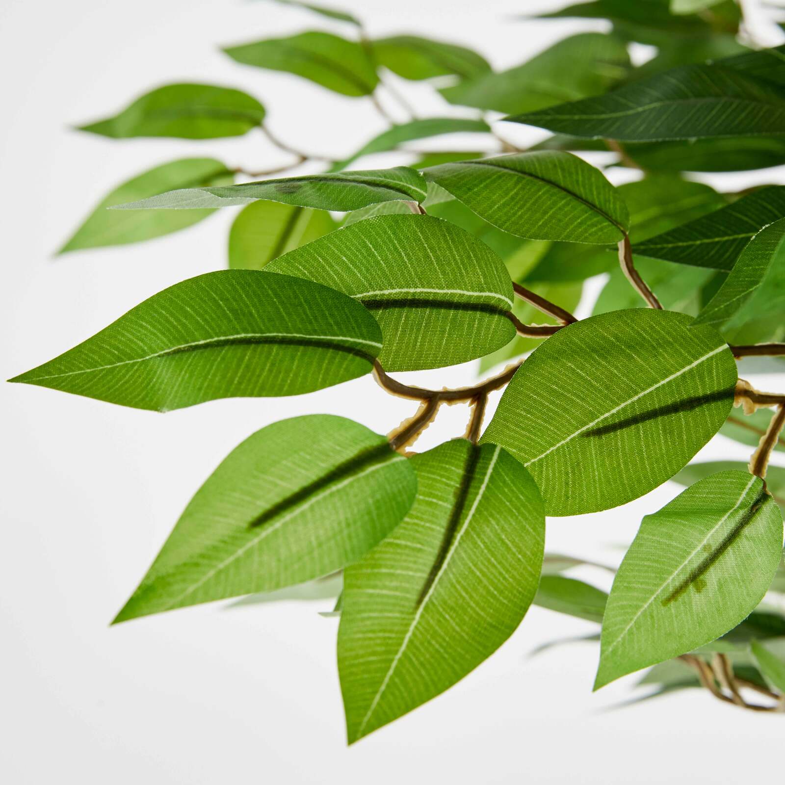 Ficus artificiale in vaso altezza 180 cm