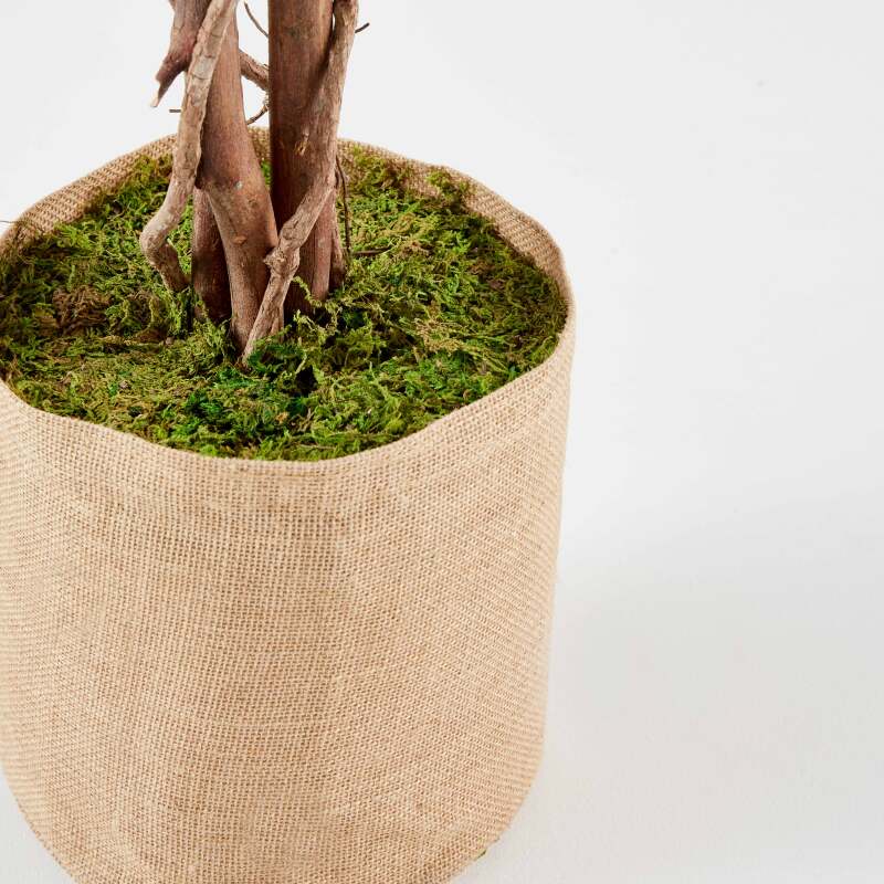 Ficus artificiale in vaso altezza 180 cm