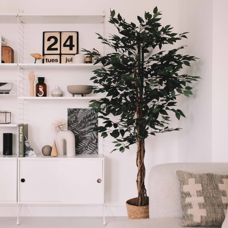 Ficus artificiale in vaso altezza 180 cm