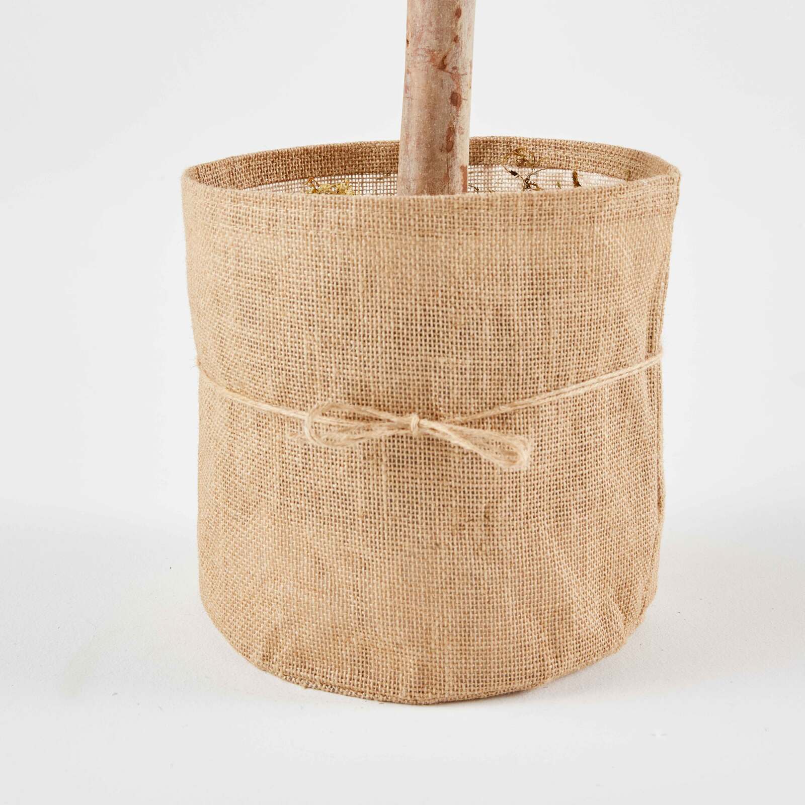 Bosso su tronco artificiale in vaso altezza 110 cm