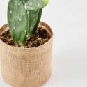 Cactus artificiale in vaso altezza 60 cm