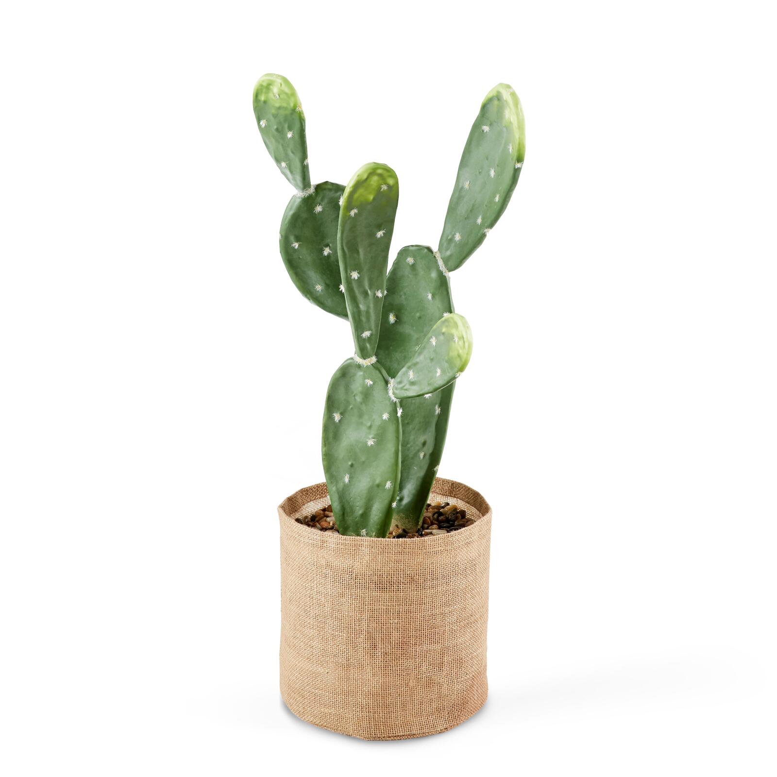 Cactus artificiale in vaso altezza 60 cm