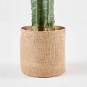Cactus artificiale in vaso altezza 113 cm