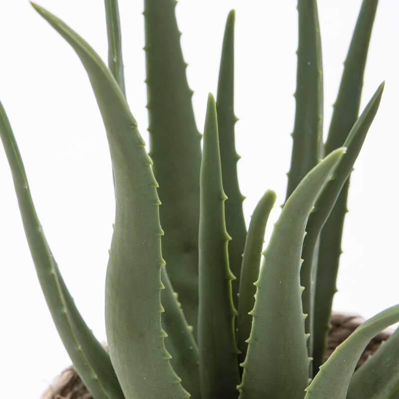 Aloe vera artificiale in vaso altezza 43 cm