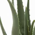Aloe vera artificiale in vaso altezza 43 cm