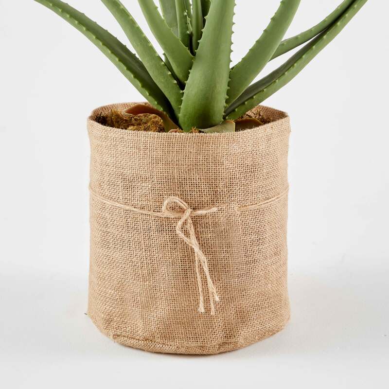 Aloe vera artificiale in vaso altezza 43 cm