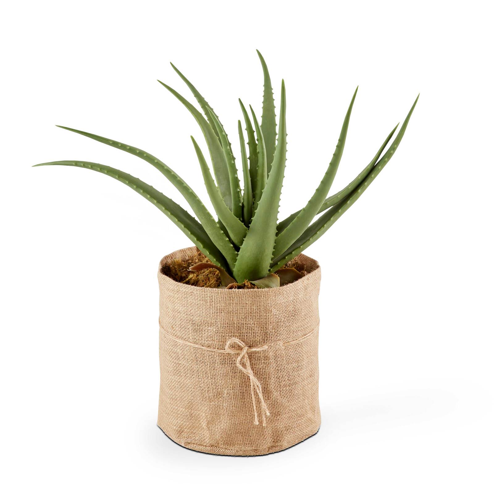 Aloe vera artificiale in vaso altezza 43 cm