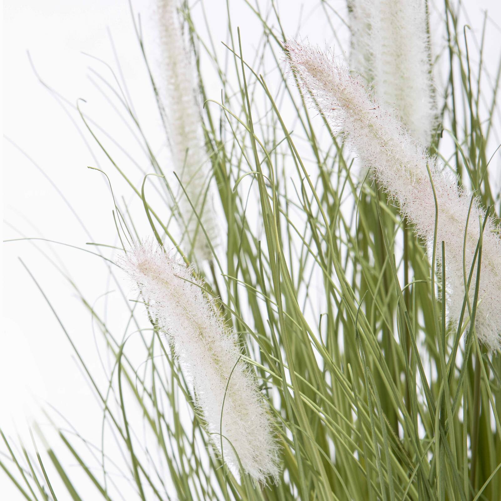 Pennisetum artificiale in vaso altezza 75 cm