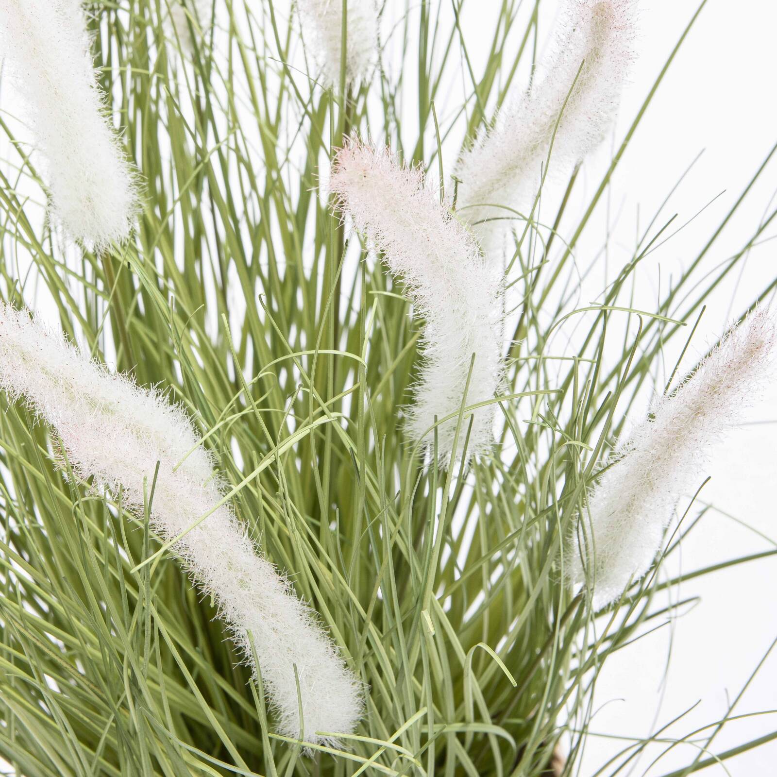 Pennisetum artificiale in vaso altezza 75 cm