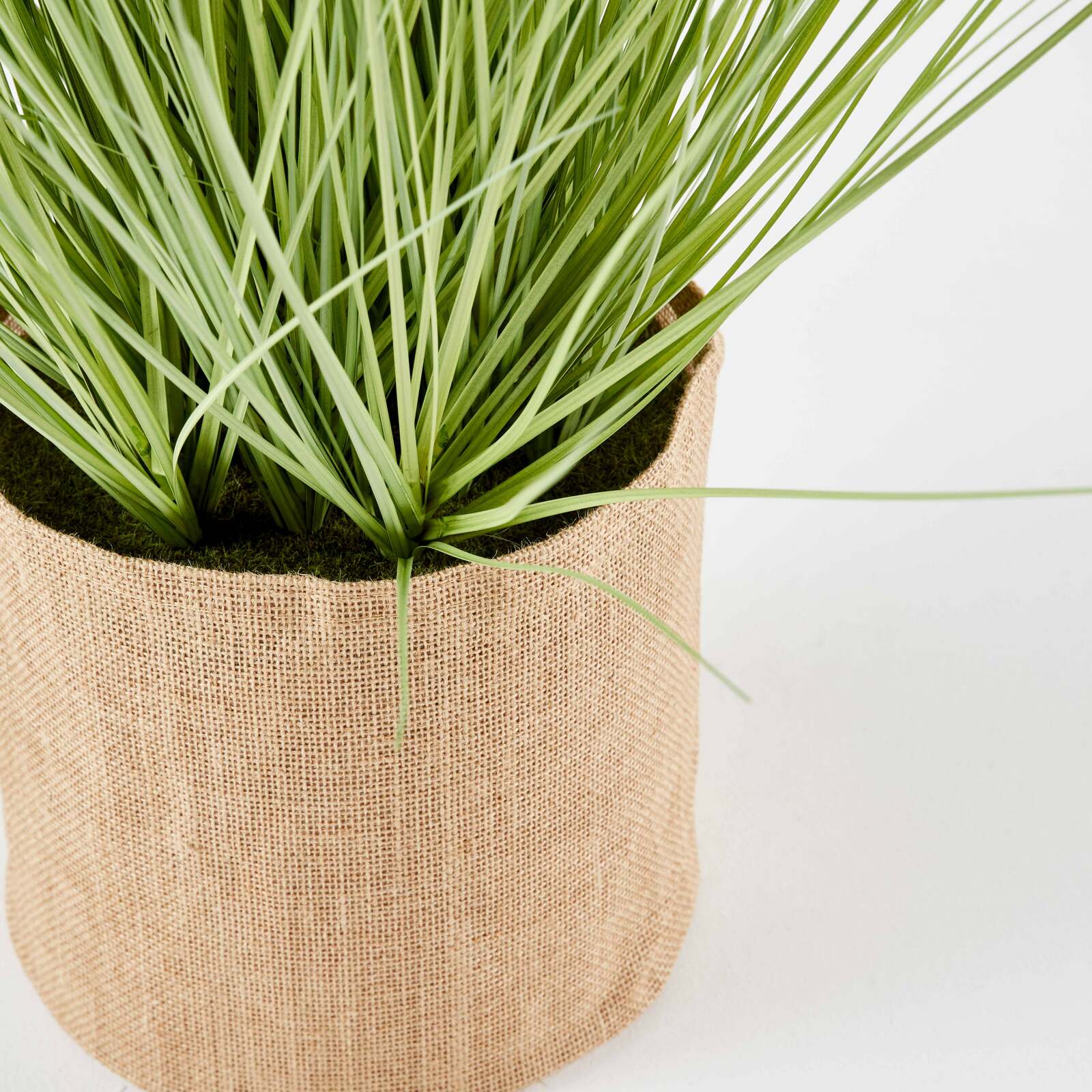 Pennisetum artificiale in vaso altezza 75 cm