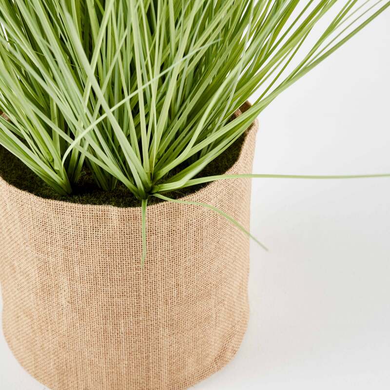 Pennisetum artificiale in vaso altezza 75 cm