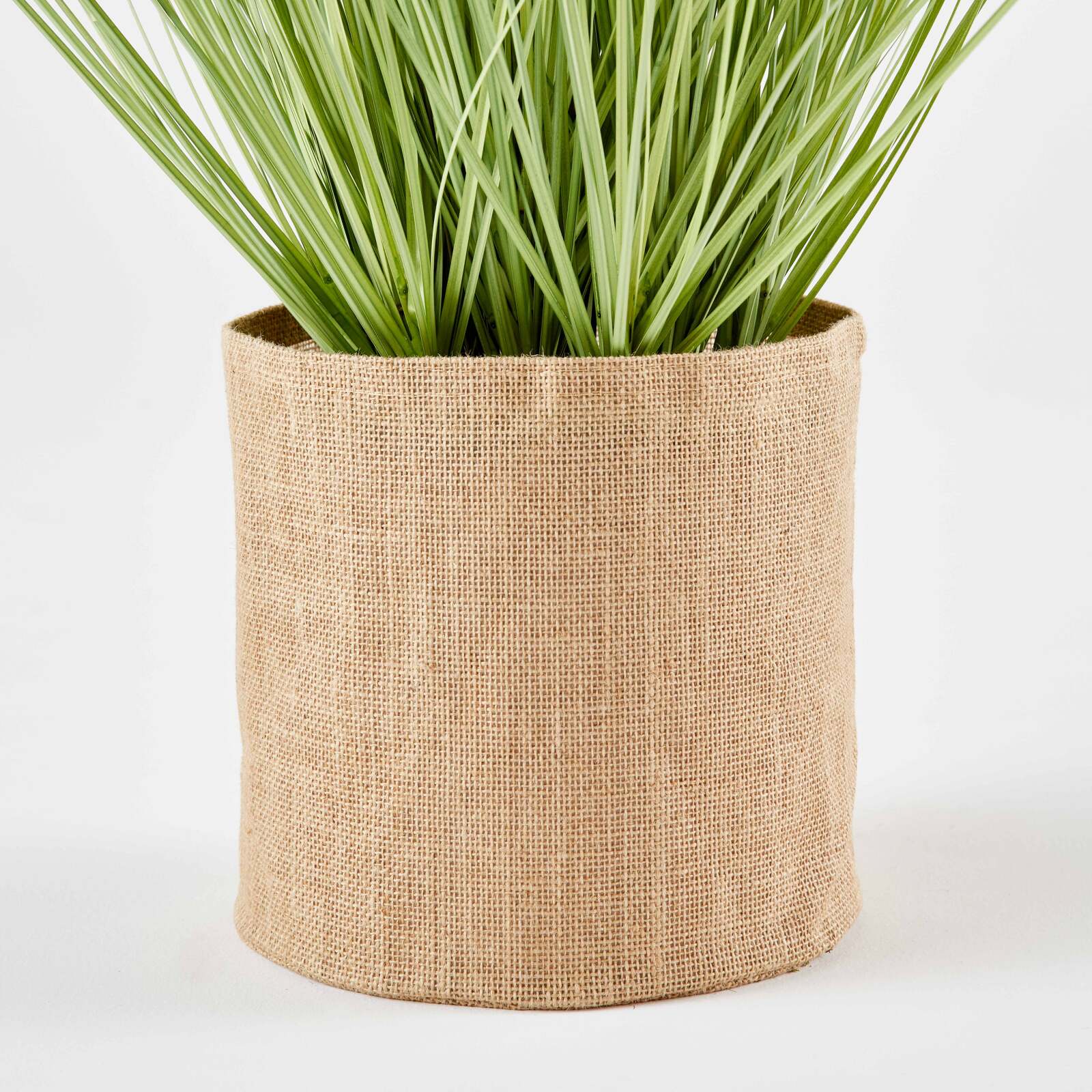 Pennisetum artificiale in vaso altezza 75 cm