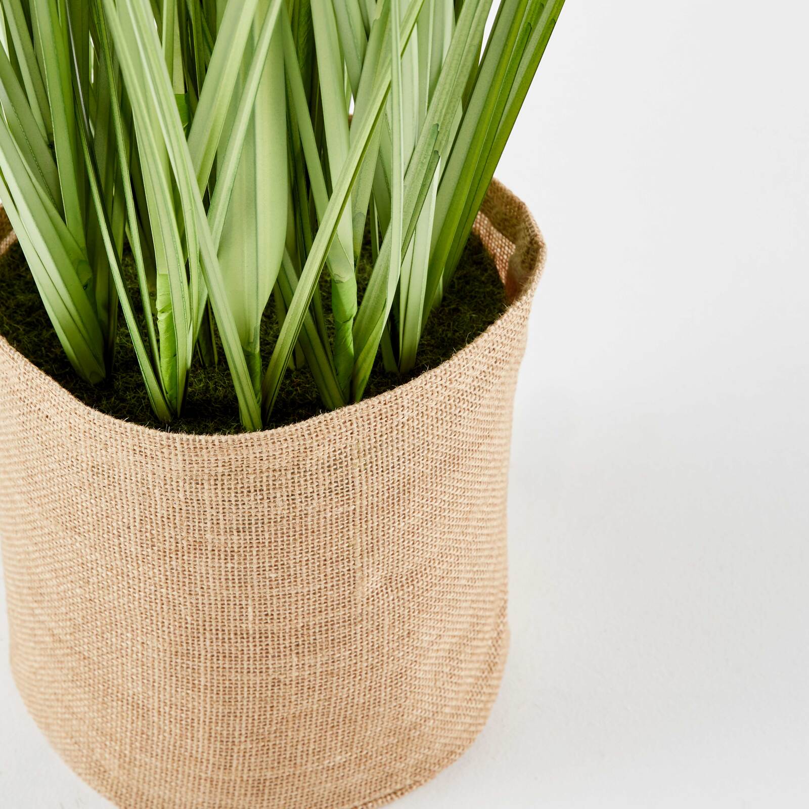 Giunco ​​artificiale in vaso altezza 95 cm
