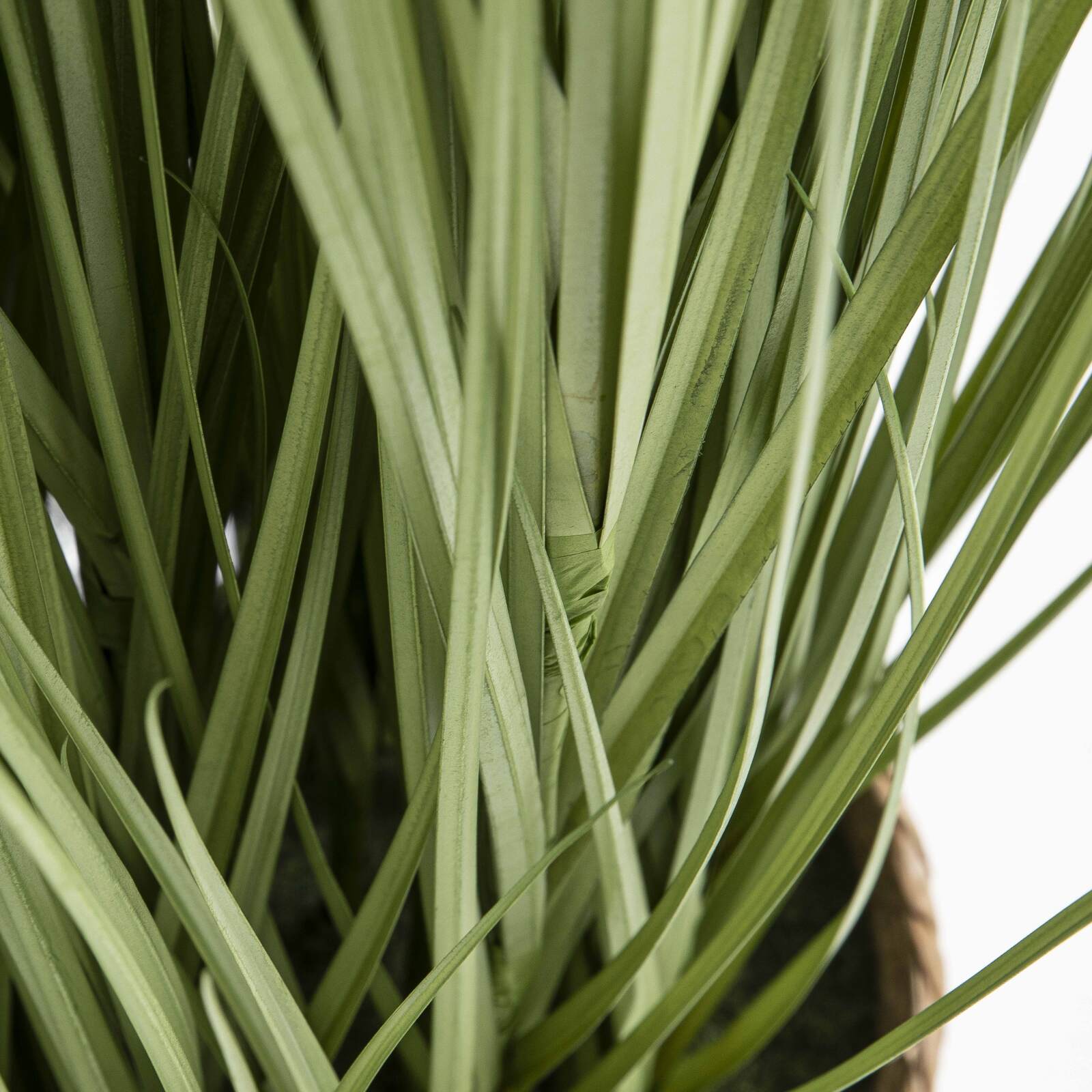 Miscanto artificiale in vaso altezza 185 cm