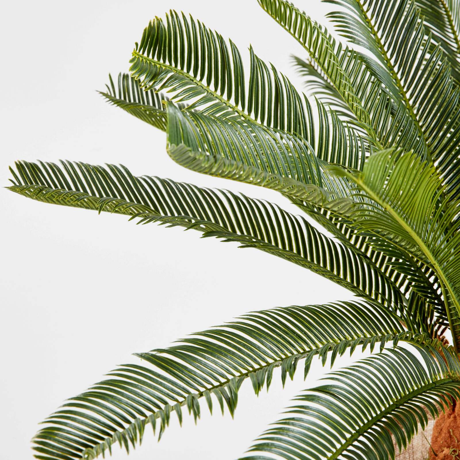 Cycas artificiale in vaso altezza 65 cm