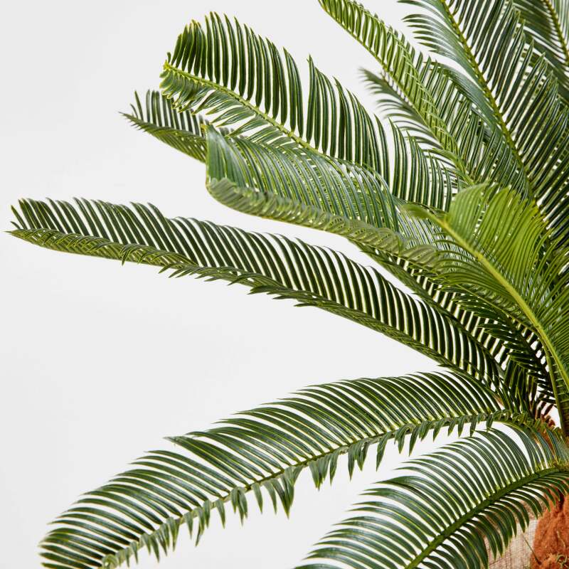 Cycas artificiale in vaso altezza 65 cm