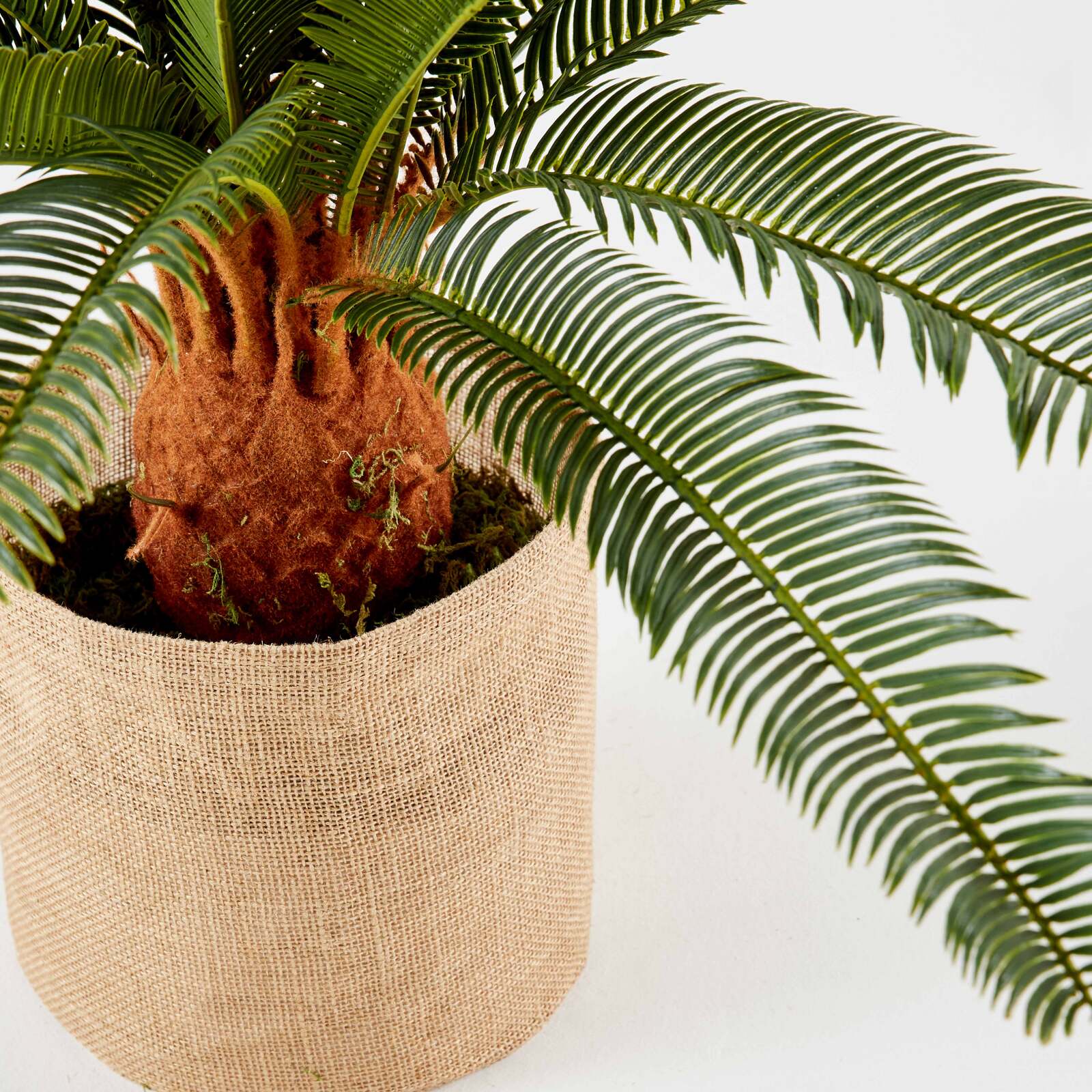 Cycas artificiale in vaso altezza 65 cm