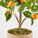 Arancio artificiale in vaso altezza 75 cm