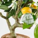 Albero di limone artificiale in vaso, altezza 115 cm