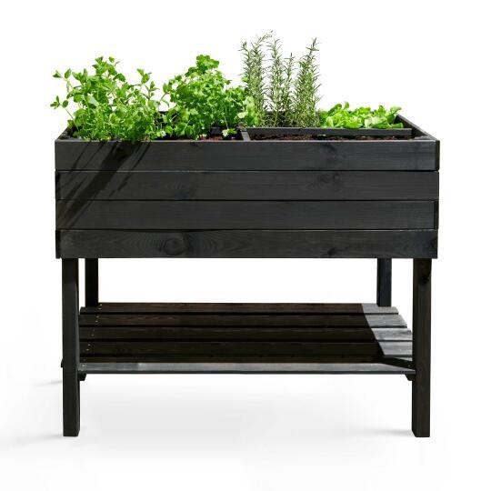 Giardino urbano basso su base in legno FSC® | Oviala