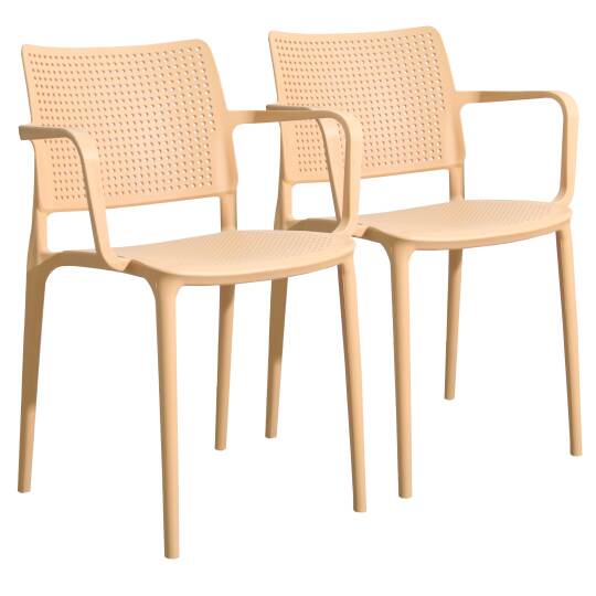 Set di 2 sedie da giardino in plastica con braccioli