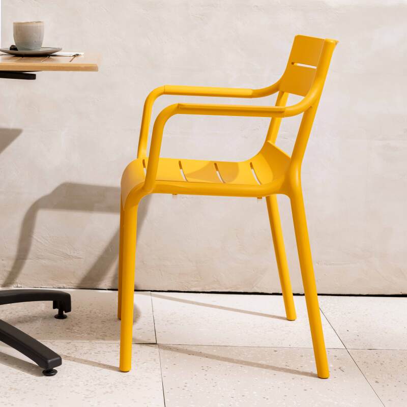 Sedia da giardino in plastica con braccioli