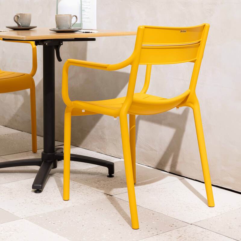 Sedia da giardino in plastica con braccioli (2/7)