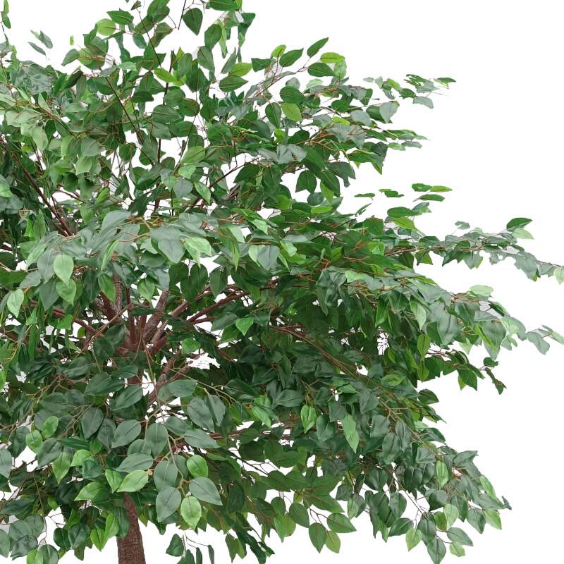 Albero di banyan artificiale altezza 290 cm