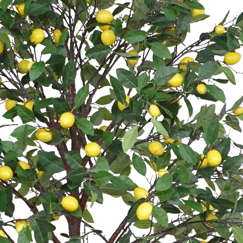 Albero di limone artificiale altezza 200 cm