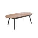 Tavolo da giardino allungabile rettangolare (220/280 x 100 x 76 cm) in alluminio e polywood