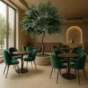Ambiance