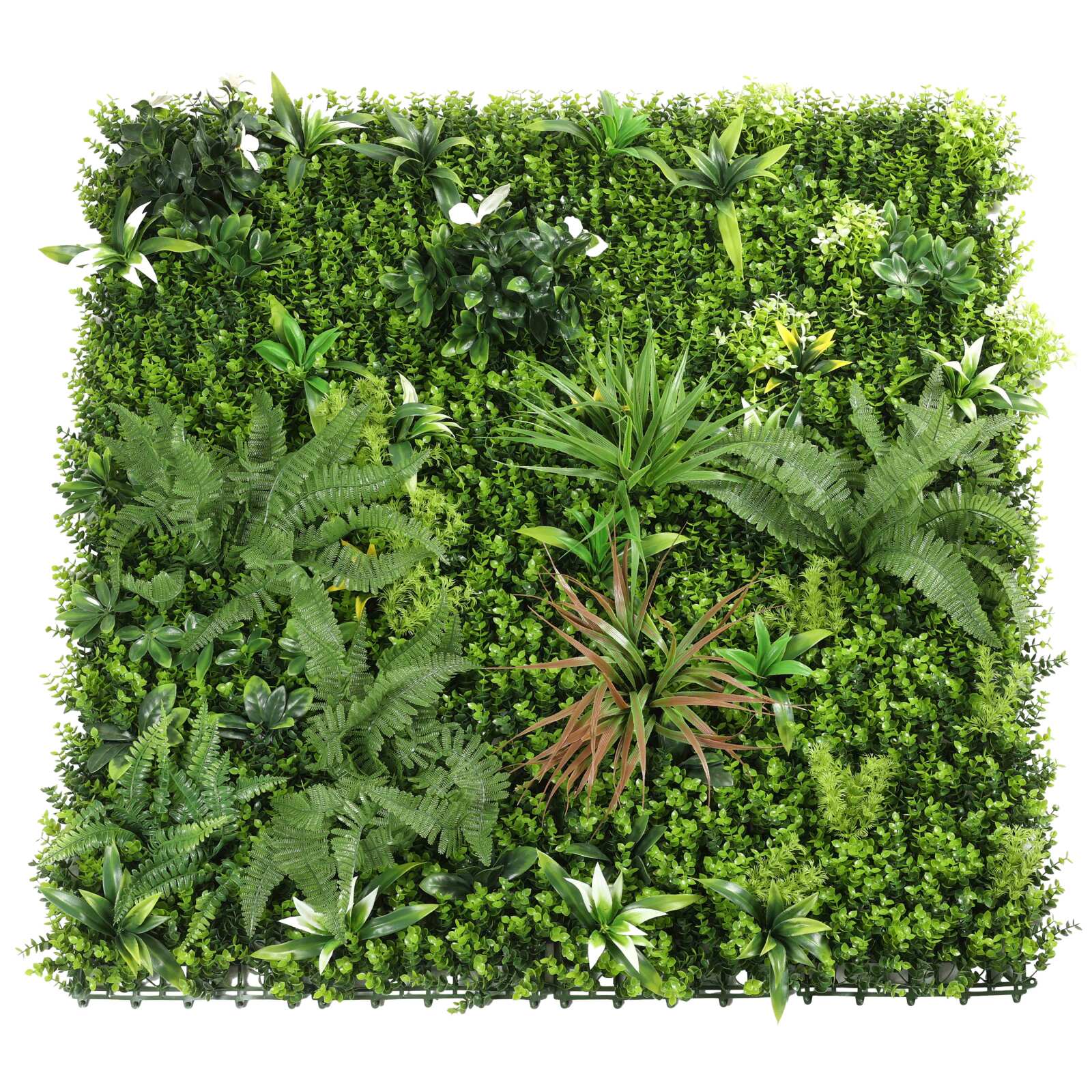 Parete verde artificiale in polipropilene 100 x 100 cm