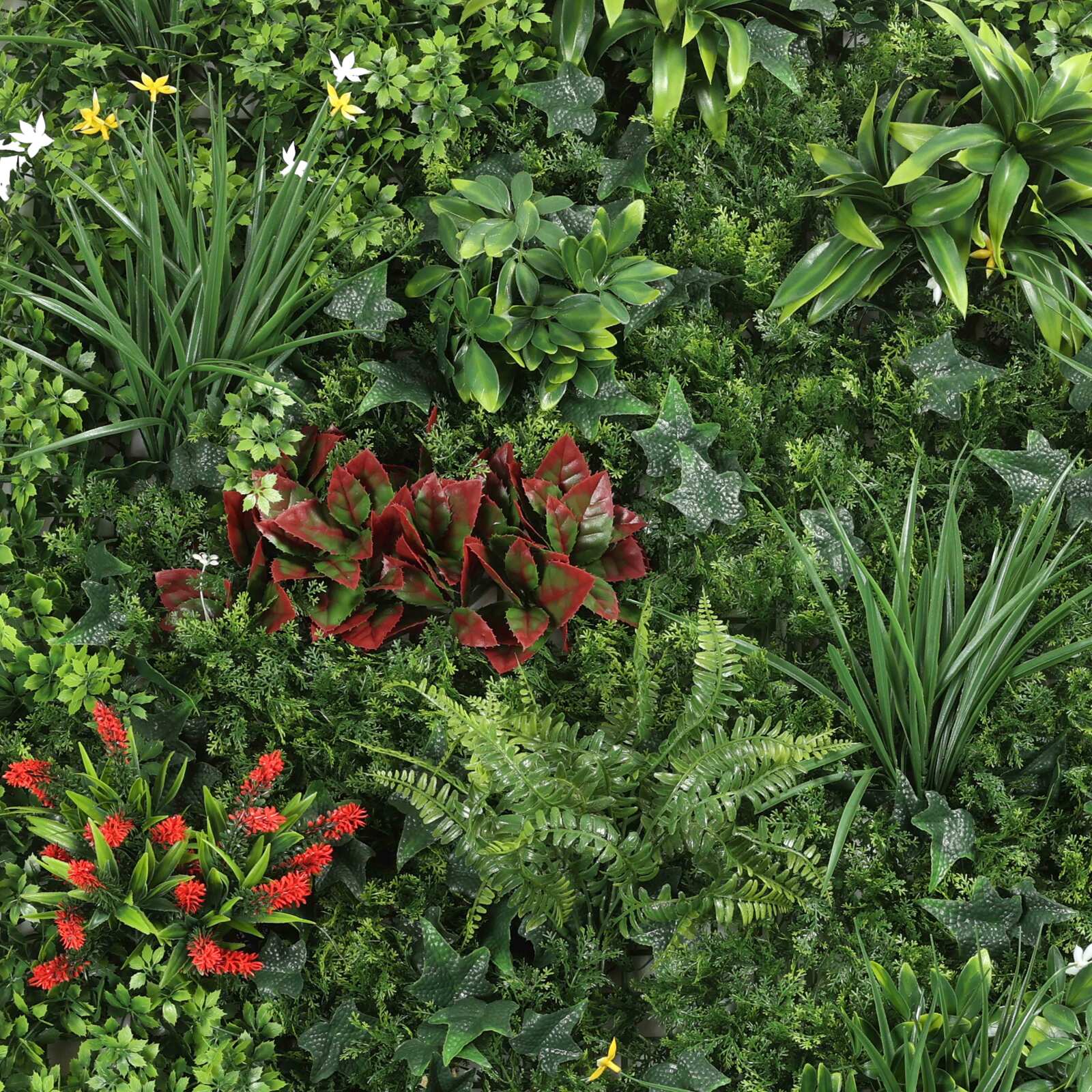 Parete verde artificiale, fiori naturali, premium, per interni ed esterni, 100x100 cm