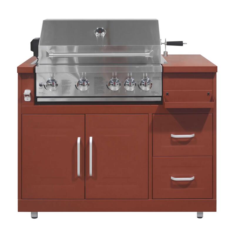 Barbecue a gas da esterno in acciaio con 5 bruciatori (3/7)